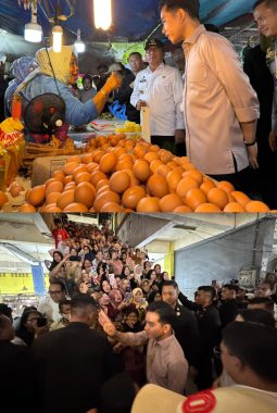 berita-rekomendasi-foto